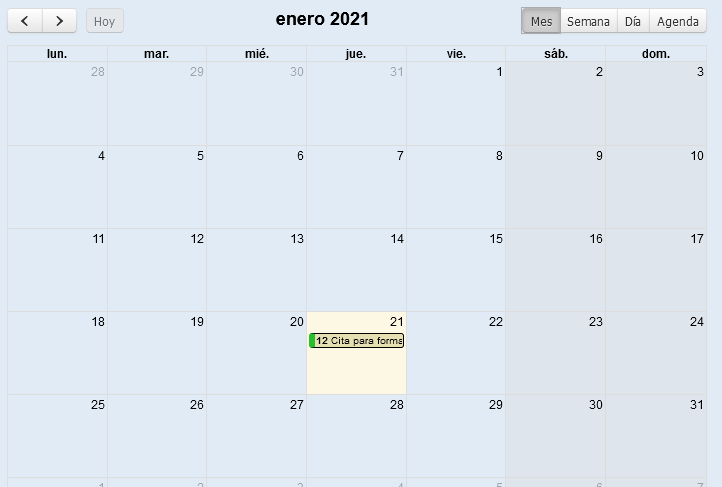 Vista MES de agenda en Solincloud/Vestanube