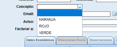 Conceptos en ficha de cliente para solincloud y vestanube